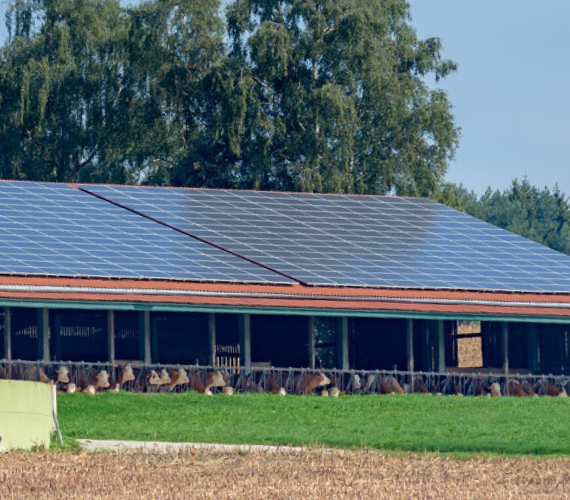 축사, 비닐하우스, 온실 등 화재 취약지 설치 태양광